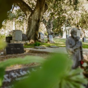 pexels-rdne-6841169[11]